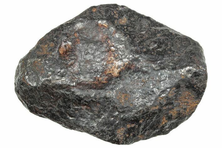 Canyon Diablo Iron Meteorite ( grams) - Arizona #243142